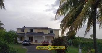 achat maison à morne à l'eau (97111)