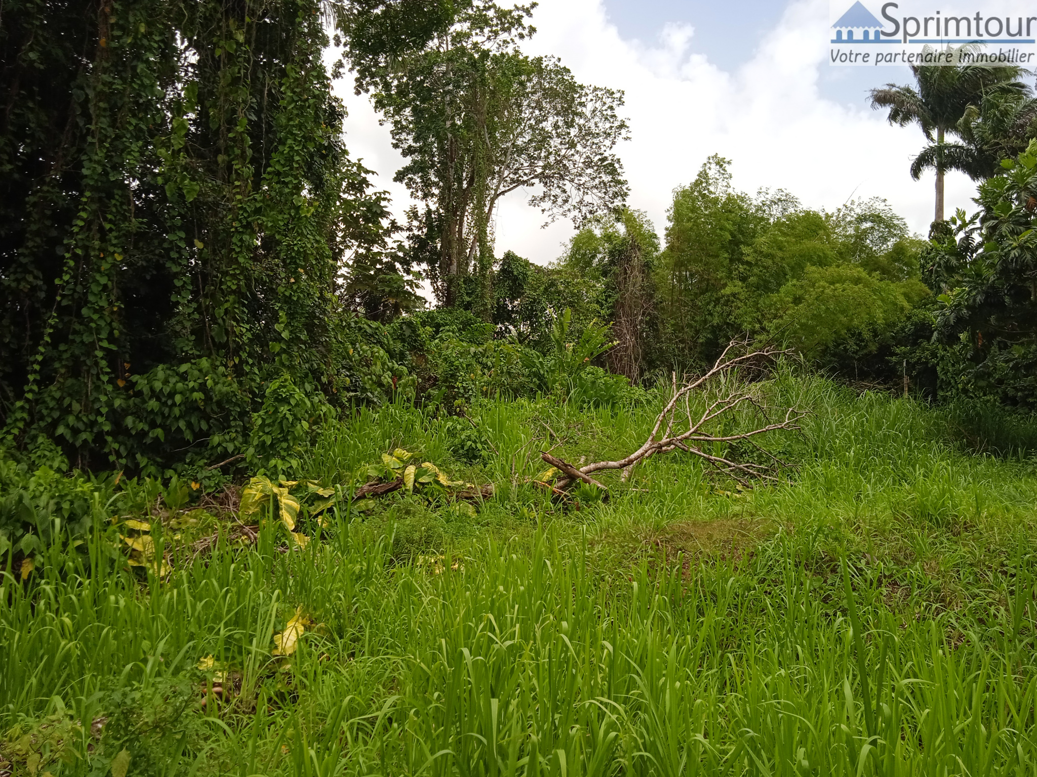 Achat terrain Petit Bourg (97170) Guadeloupe Basse Terre Nord Réf. 0557