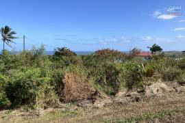 achat terrain à etang salé (97427)