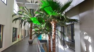 location bureaux à saint-paul (97460)