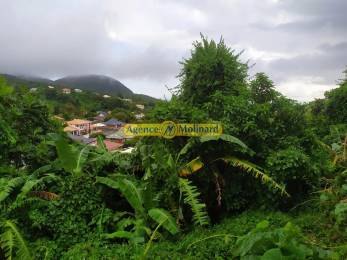 Location  Maison Gourbeyre (97113) - GUADELOUPE