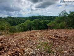 achat terrain à les abymes (97139)