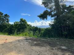 achat terrain à les abymes (97139)