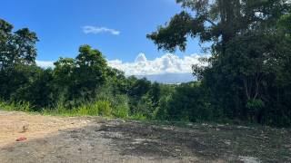 achat terrain à les abymes (97139)