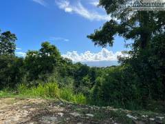 achat terrain à les abymes (97139)