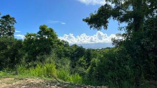achat terrain à les abymes (97139)