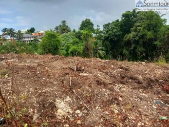 Achat Terrain Les Abymes (97139) - GUADELOUPE