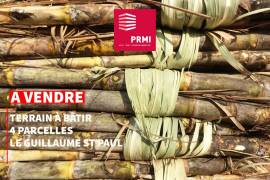 achat terrain à hauts de l'ouest (97423)