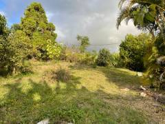 achat terrain à trois bassins (97426)