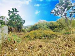 achat terrain à hauts de l'ouest (97435)
