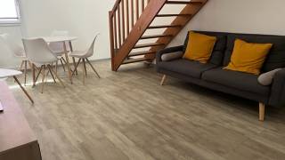 location bien meublé à sainte-clotilde (97490)