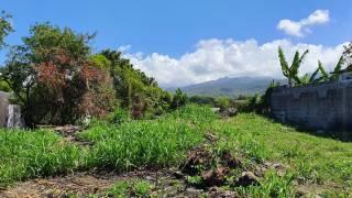 achat terrain à saint-andré (97440)