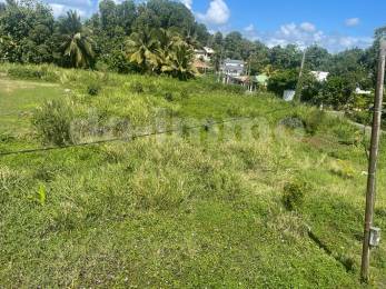 Achat terrain Les Abymes (97139) - GUADELOUPE
