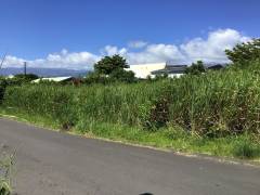 achat terrain à saint-andré (97440)