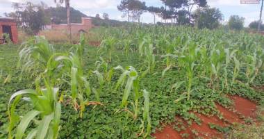 un beau terrain de 2930m2 avec vue sur lac à vontovorona antananarivo