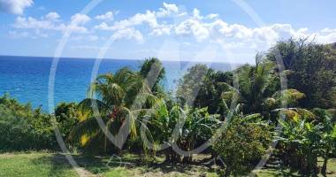 vieux fort - vue mer