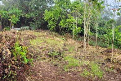 Achat Terrain Rivière Saint-Louis (97421) - REUNION