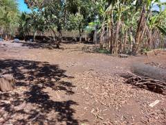 achat terrain à etang salé (97427)