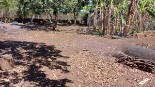 achat terrain à etang salé (97427)