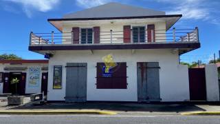 location local professionnel à sainte-anne (97437)