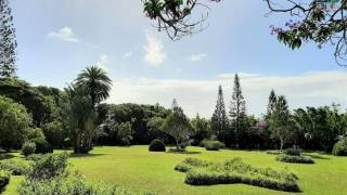 achat appartement à curepipe ()