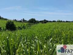 achat terrain à saint-benoît (97470)
