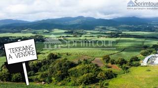 achat terrain à lamentin (97129)