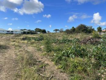 Achat Terrain à Batir Sainte-Anne (97180) - GUADELOUPE