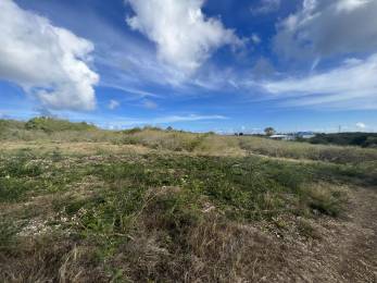 Achat Terrain à Batir Sainte-Anne (97180) - GUADELOUPE