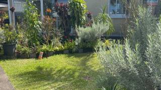 achat maison à saint-joseph (97480)