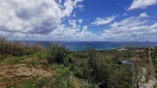 achat terrain à batir à martinique (972)