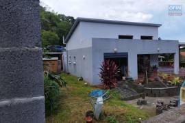 achat maison à l'entre-deux (97414)