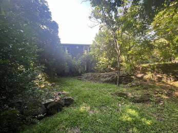 Achat Maison Saint-Joseph (97480) - REUNION