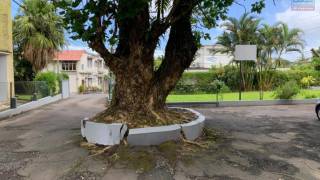 location appartement à curepipe ()