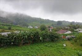 achat maison à les avirons (97425)