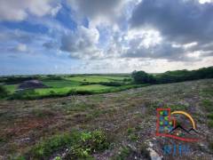 achat terrain à le moule (97160)
