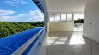 location maison à sainte-anne (97180)