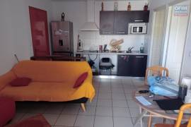 achat appartement à la possession (97419)