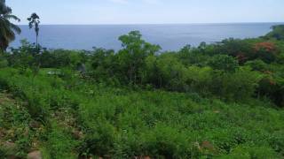 achat terrain à vieux habitants (97119)