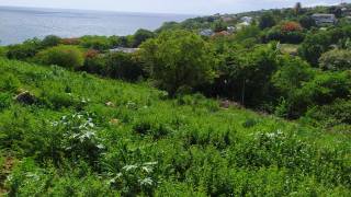 achat terrain à vieux habitants (97119)