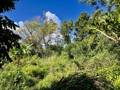 achat terrain à saint-joseph (97480)