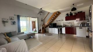 achat appartement à saint-pierre (97410)