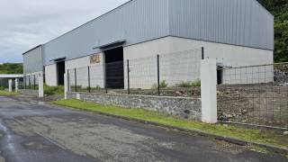 location local professionnel à bras-panon (97412)