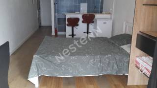 location appartement à sainte-clotilde (97490)
