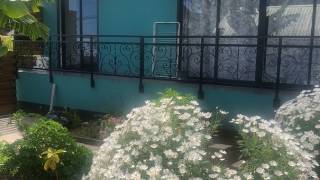 location maison à hauts de saint-leu (97416)