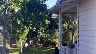 achat maison à la montagne (97417)