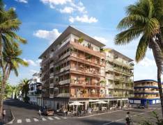 achat appartement à pointe à pitre (97110)