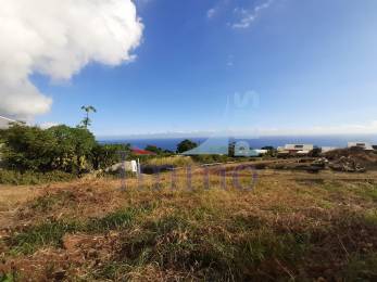 Achat Villa Piton Saint-Leu (97424) - REUNION