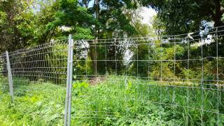 achat terrain à sainte-clotilde (97490)