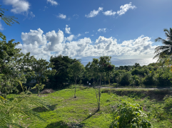 achat terrain à marie galante (97112)